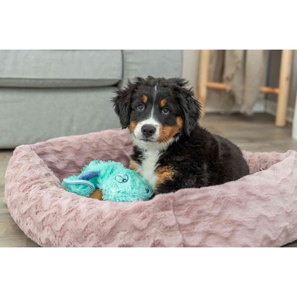 Junior Schlenkertier-Pfoten Feinstes