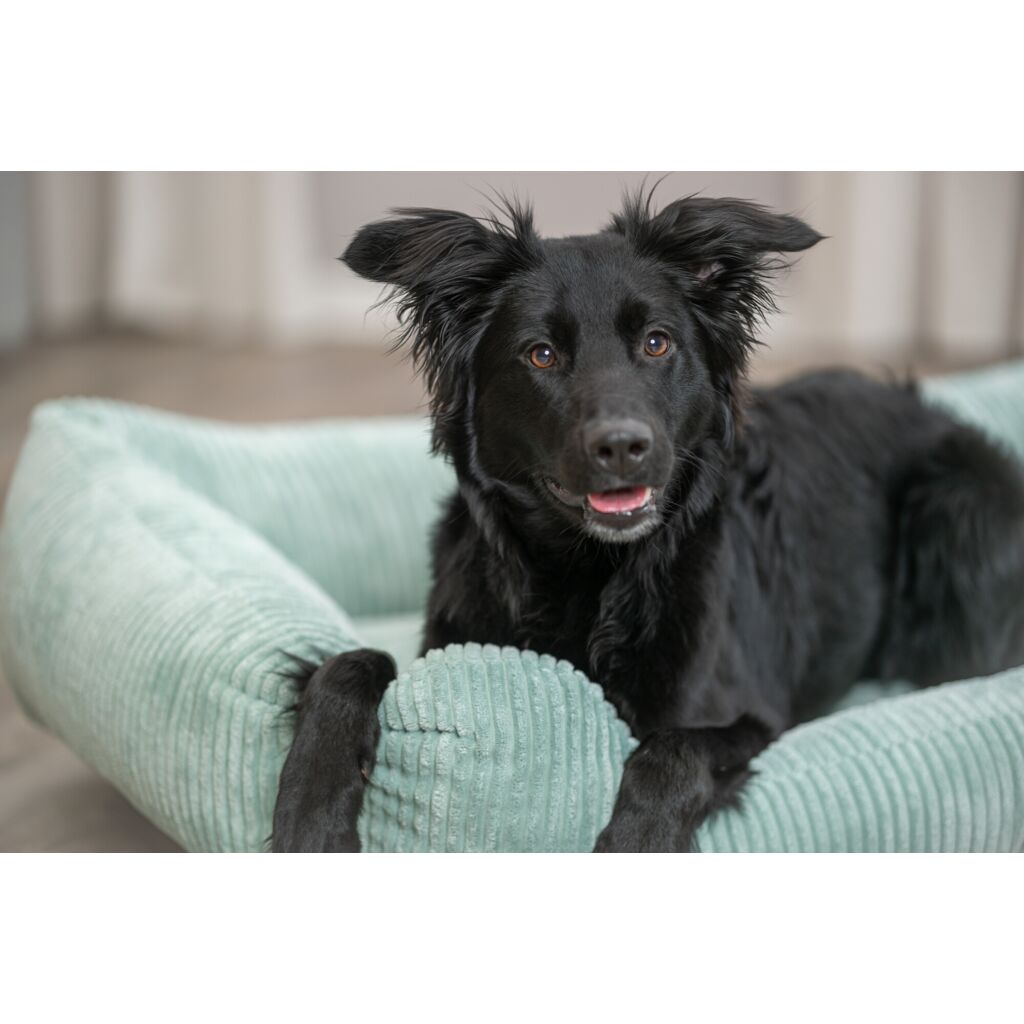 Vital Bett Jonna-Pfoten Feinstes