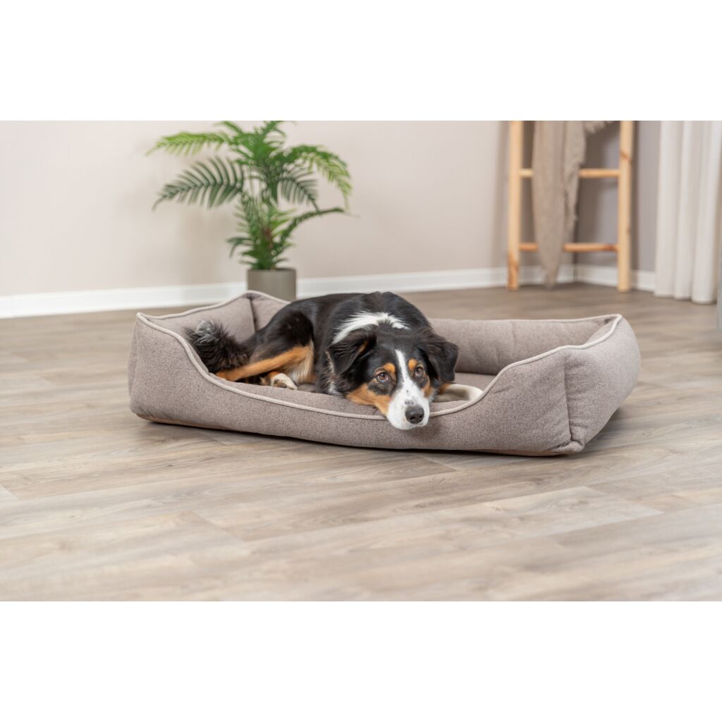 Vital Bett Laurin-Pfoten Feinstes