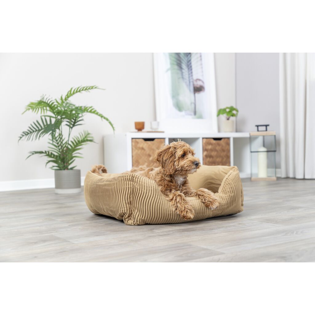 Bett Marley-Pfoten Feinstes