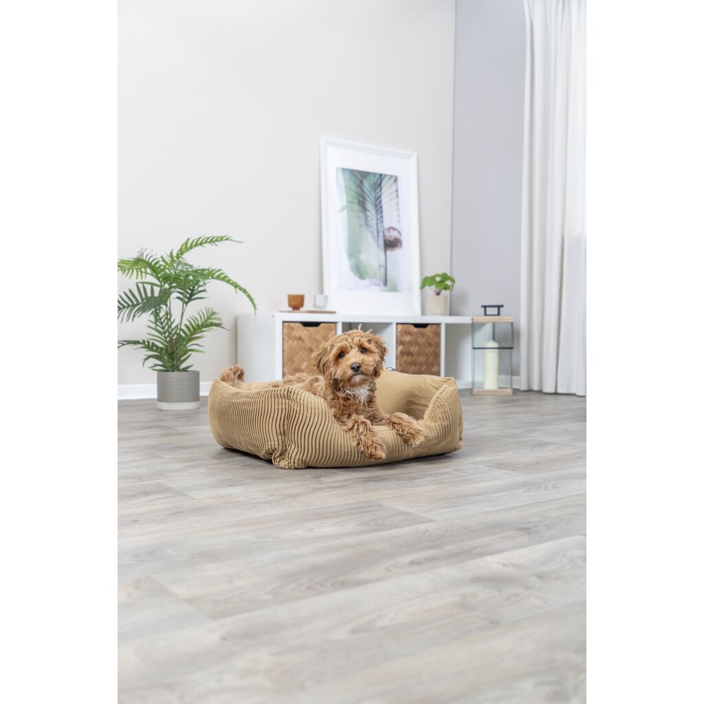 Bett Marley-Pfoten Feinstes