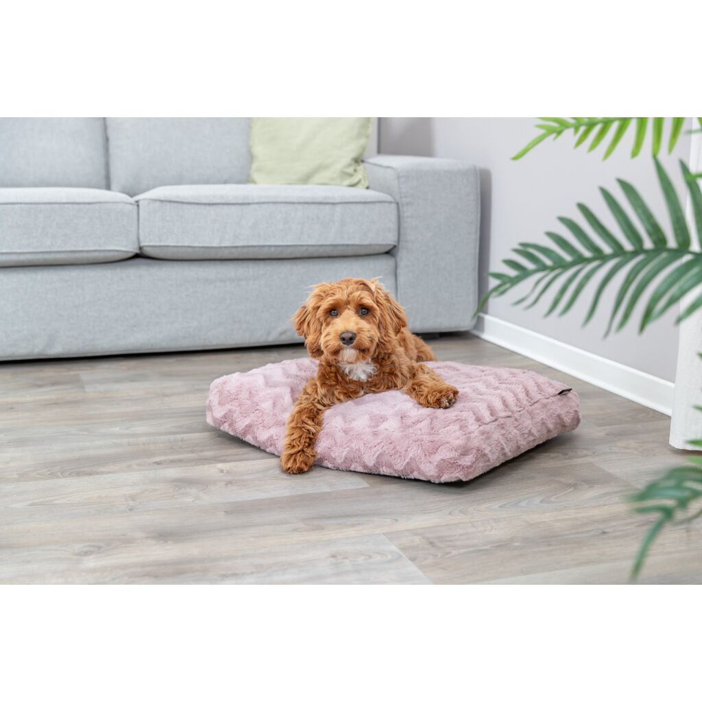 Vital Kissen Loki-Pfoten Feinstes