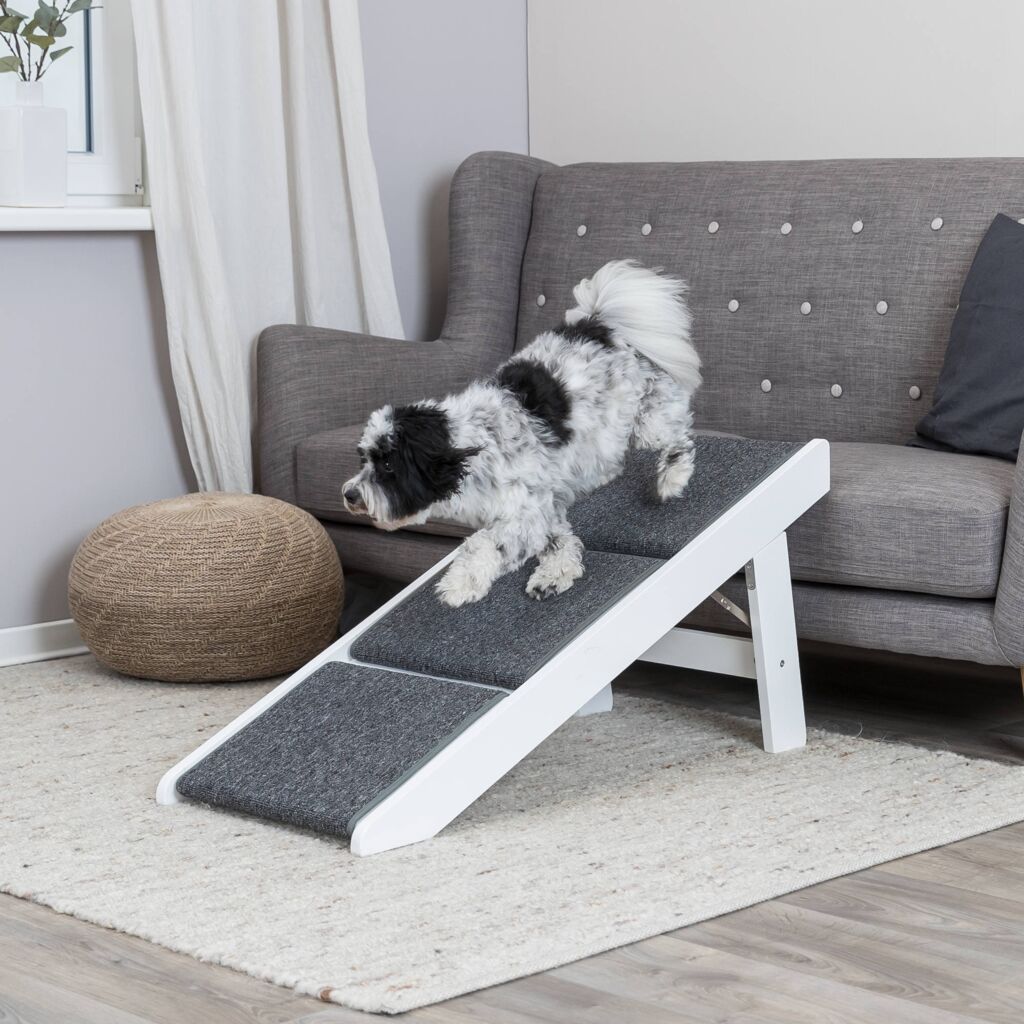 Rampe-Pfoten Feinstes