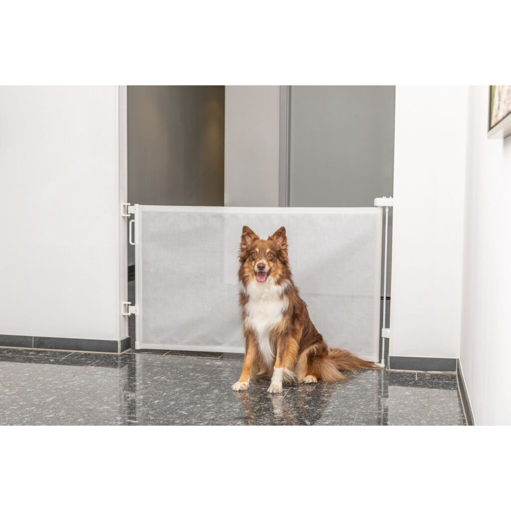 Absperr-Rollo-Pfoten Feinstes