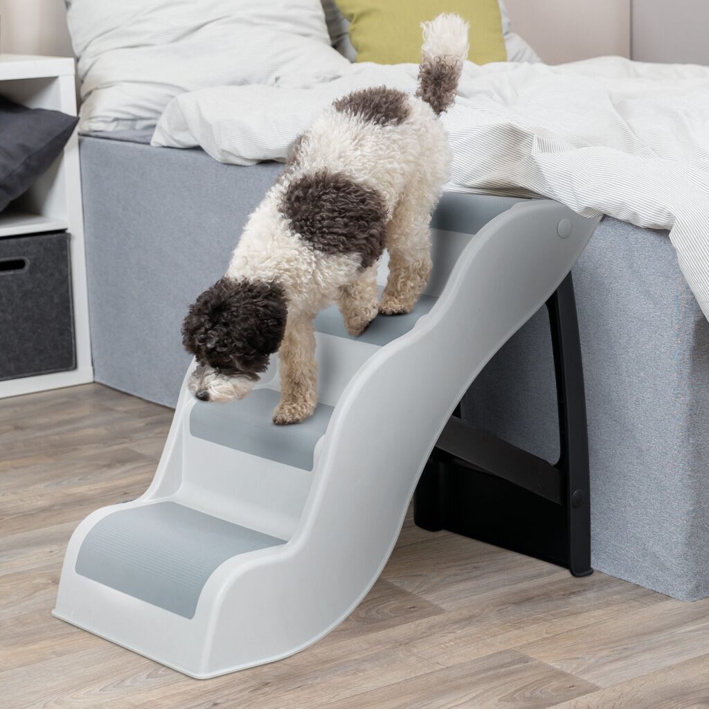 Treppe-Pfoten Feinstes