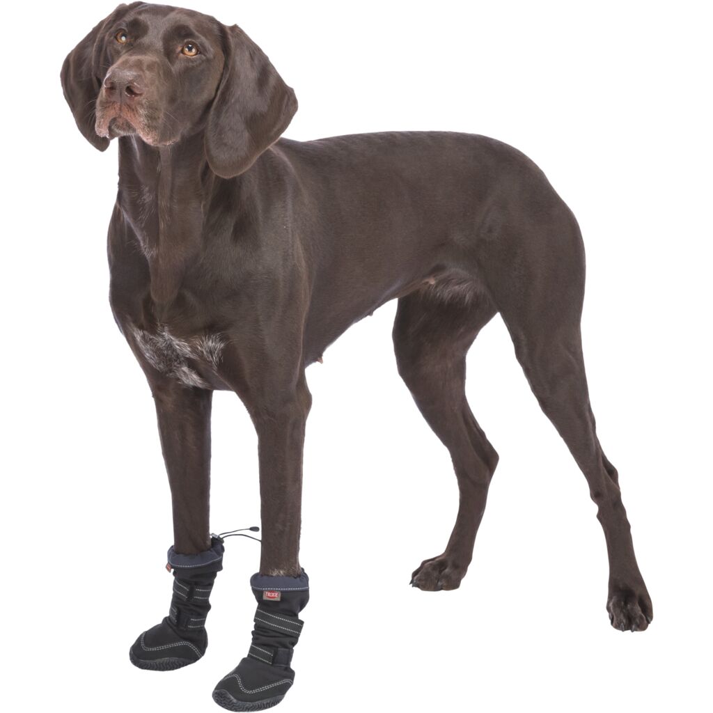 Pfotenschutz Walker Active Long-Pfoten Feinstes