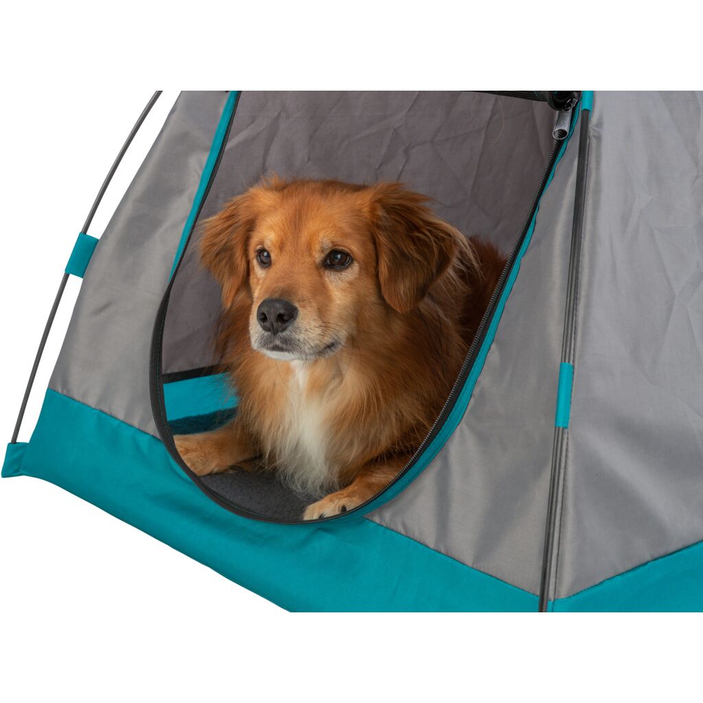 Zelt-Pfoten Feinstes