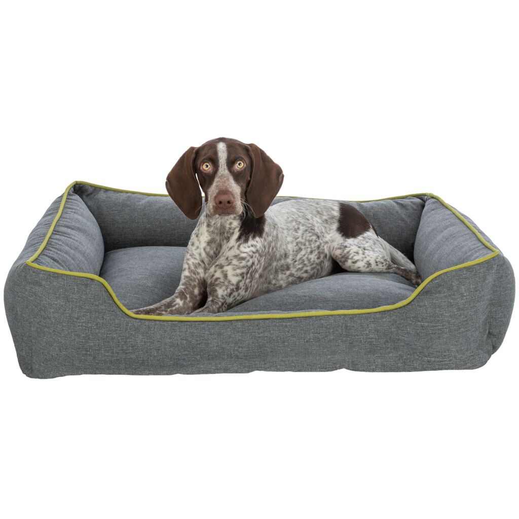 Bett Nio-Pfoten Feinstes