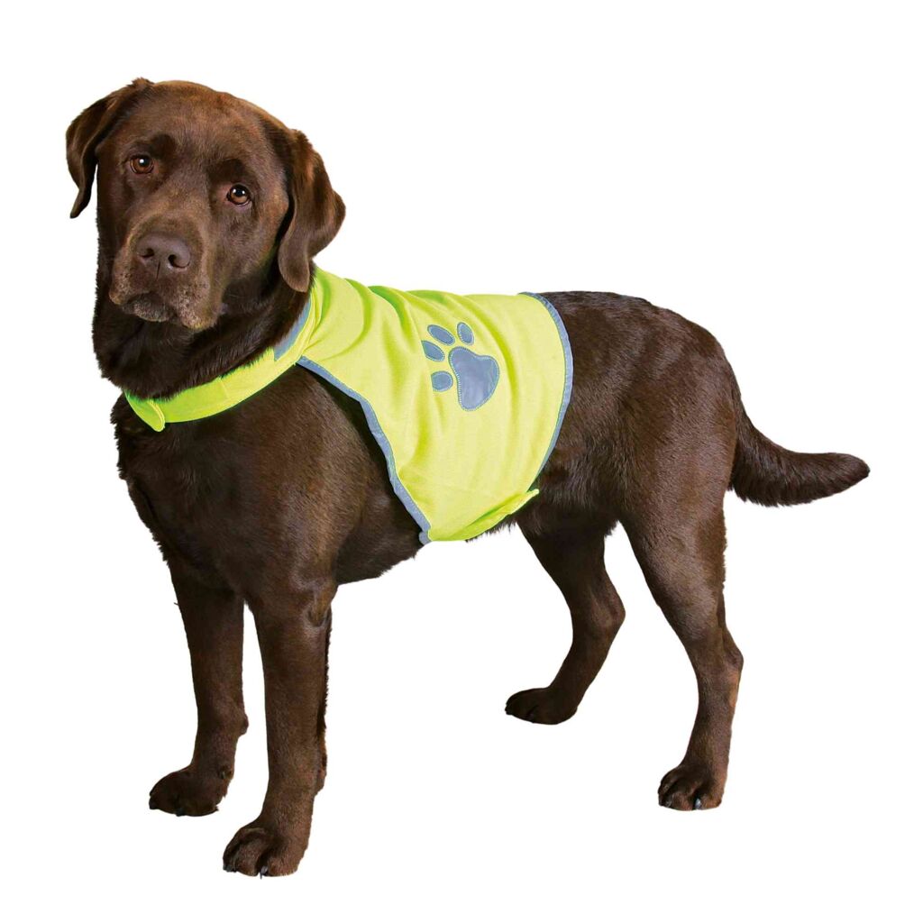 Sicherheitsweste für Hunde-Pfoten Feinstes