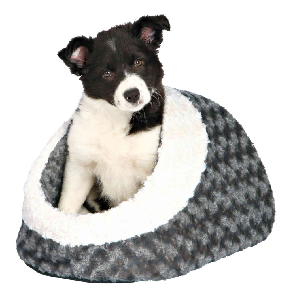 Höhle Kaline-Pfoten Feinstes