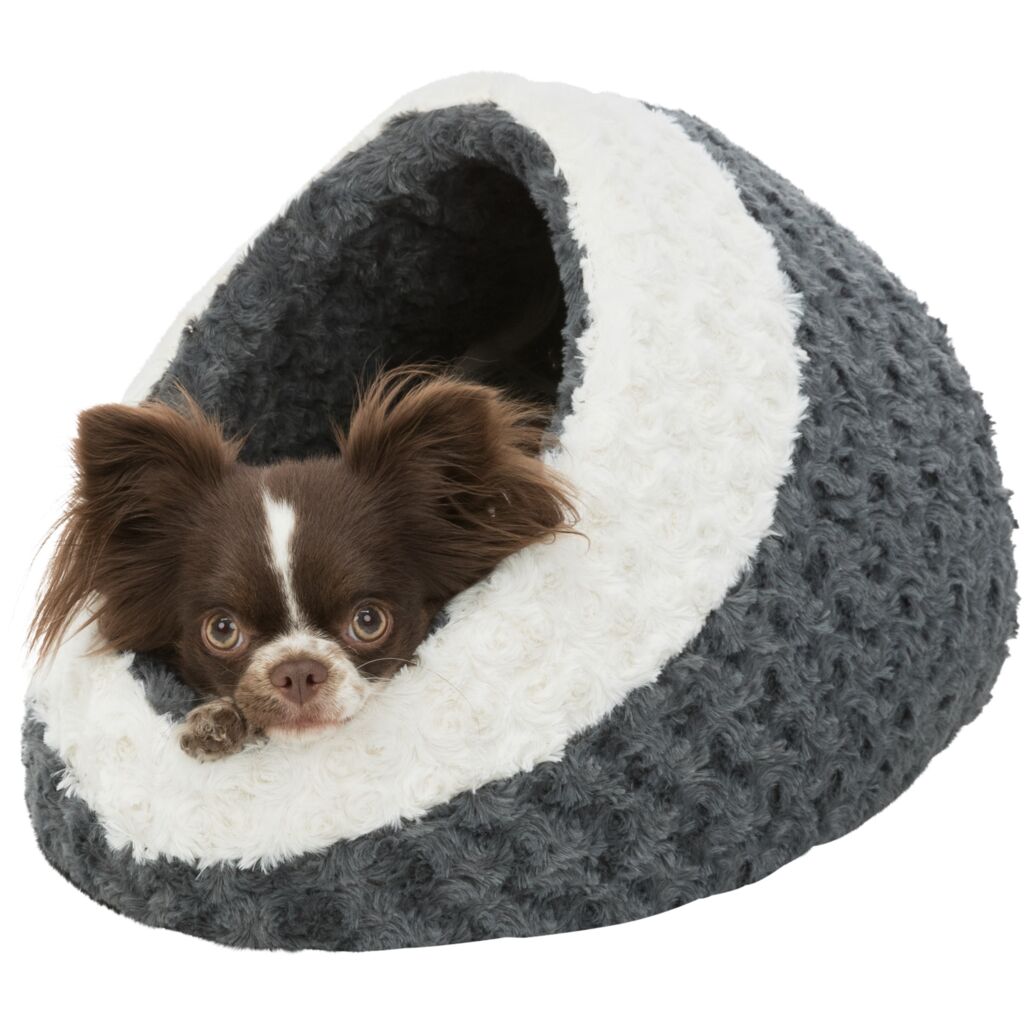 Höhle Kaline-Pfoten Feinstes