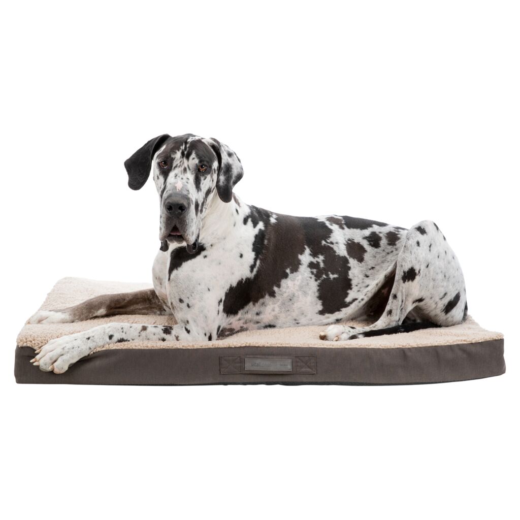 Vital Matratze Bendson-Pfoten Feinstes