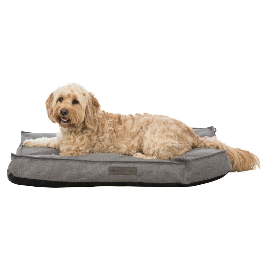 Kissen Talis-Pfoten Feinstes