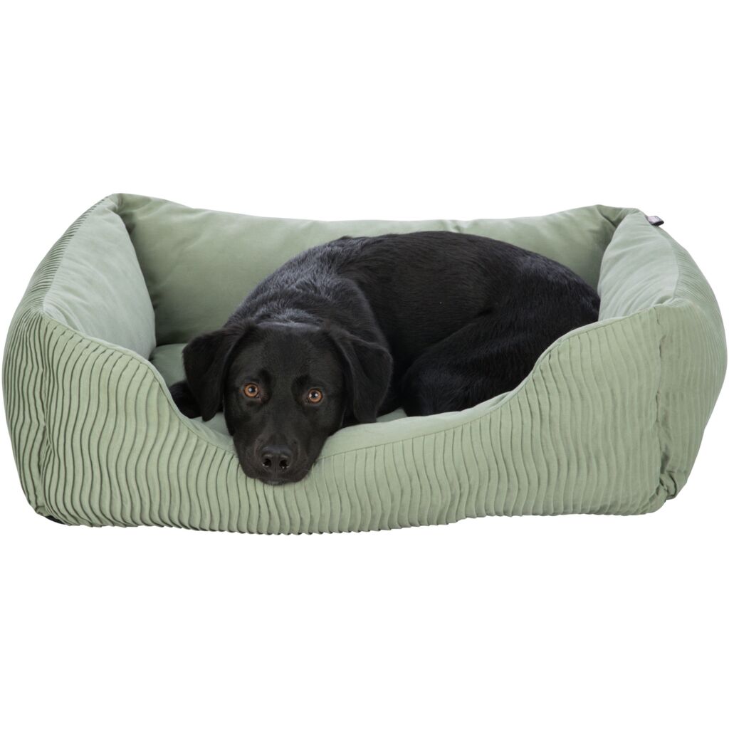 Bett Marley-Pfoten Feinstes