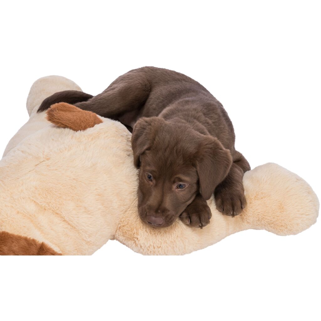 Ankuschelhund Benny-Pfoten Feinstes