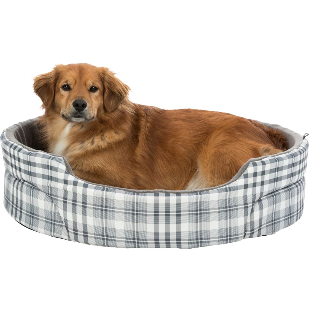 Bett Lucky-Pfoten Feinstes