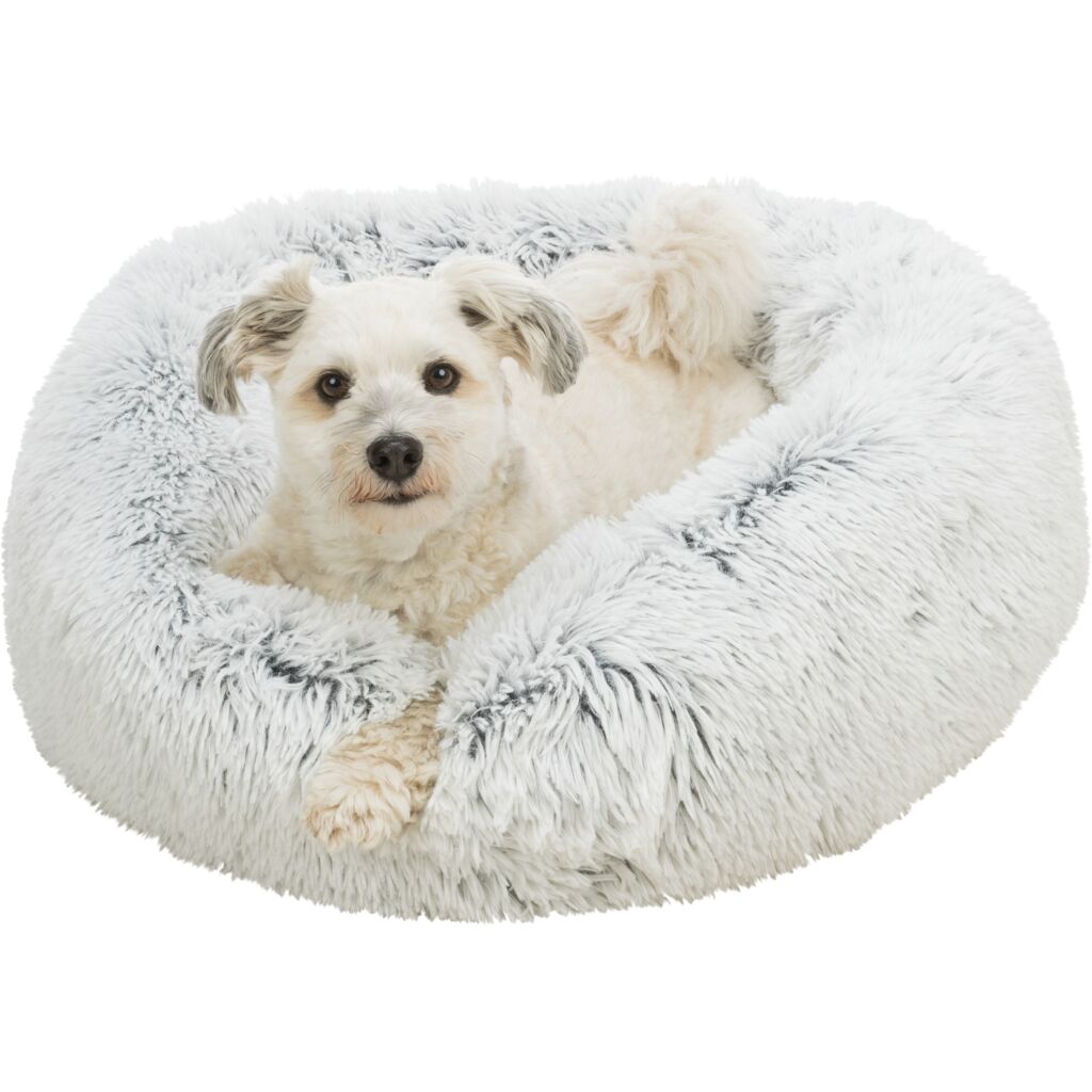 Bett Harvey-Pfoten Feinstes