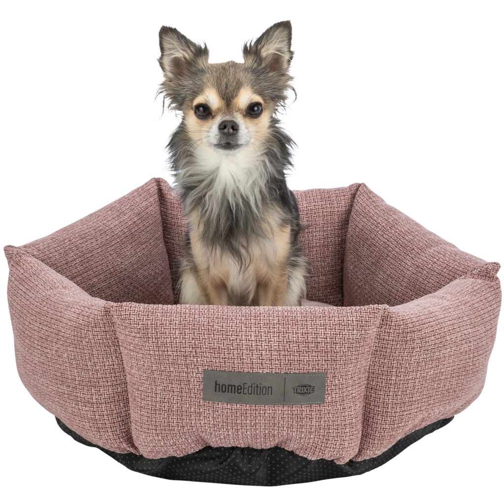 Bett Viviana-Pfoten Feinstes