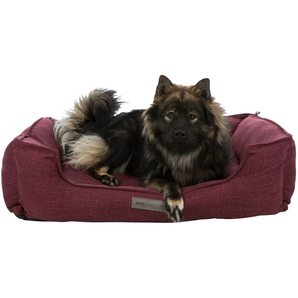 Bett Talis-Pfoten Feinstes