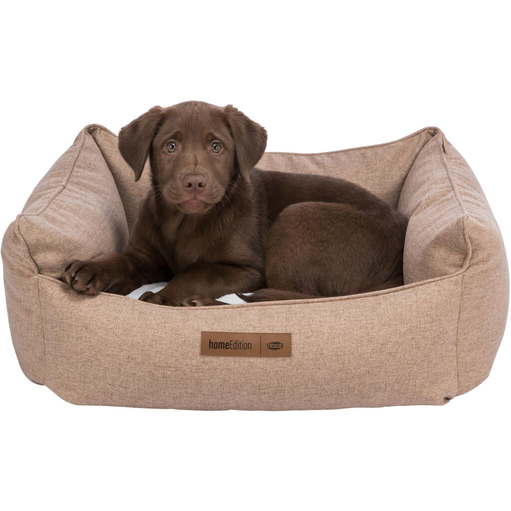 Bett Farello-Pfoten Feinstes