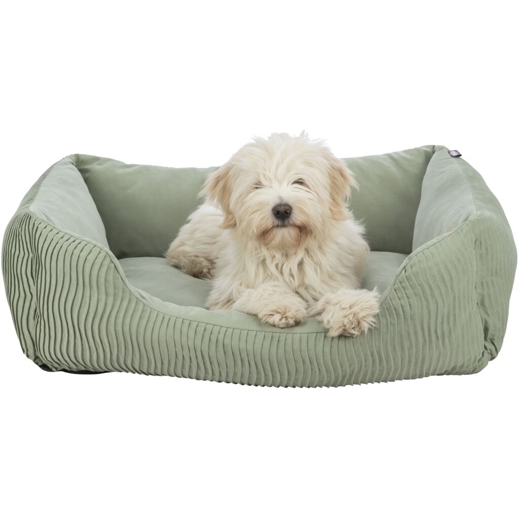 Bett Marley-Pfoten Feinstes