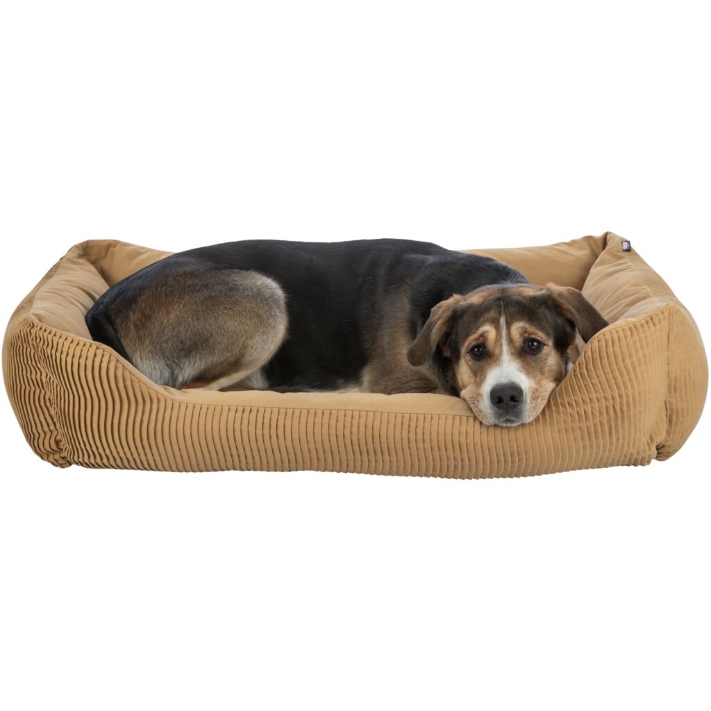 Bett Marley-Pfoten Feinstes