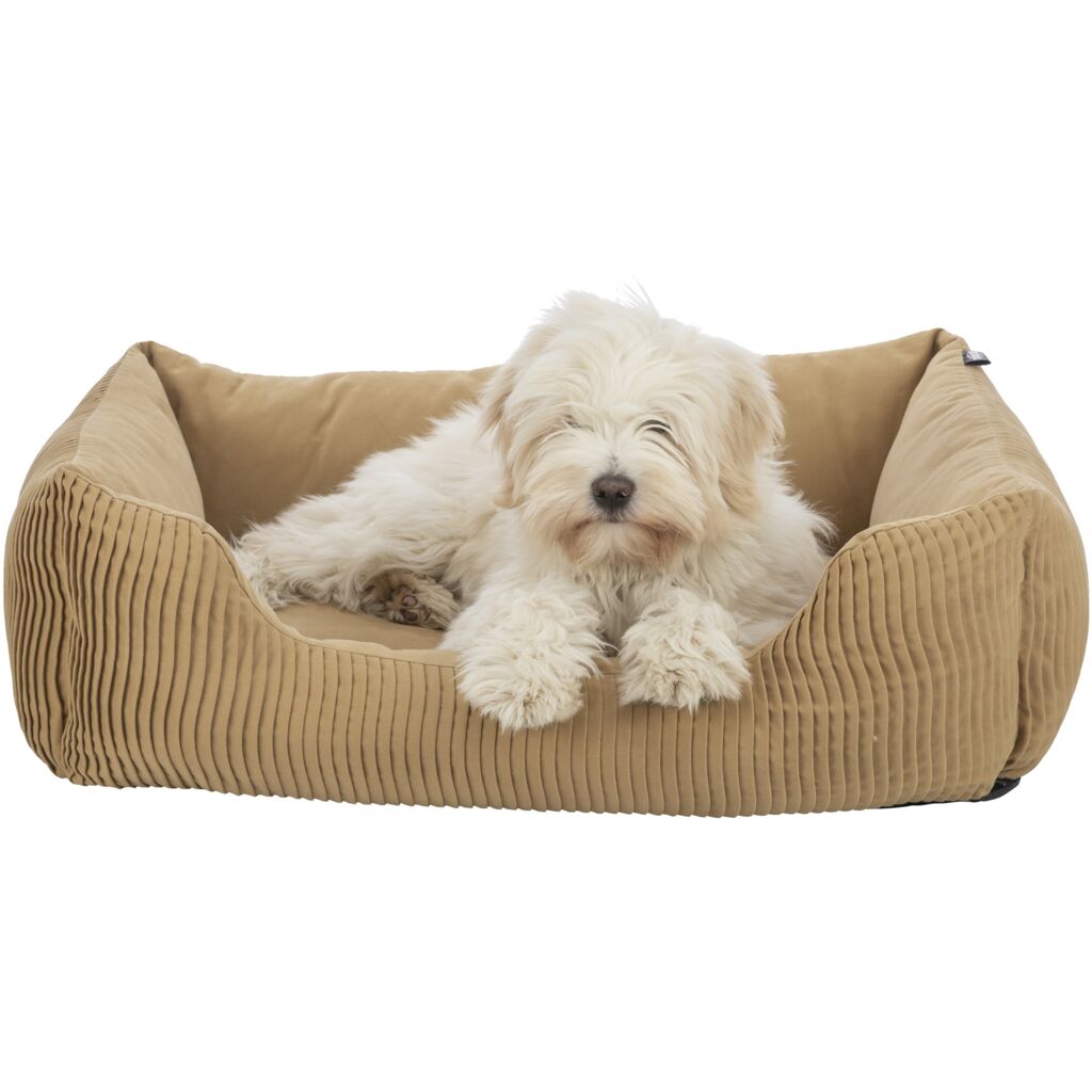 Bett Marley-Pfoten Feinstes