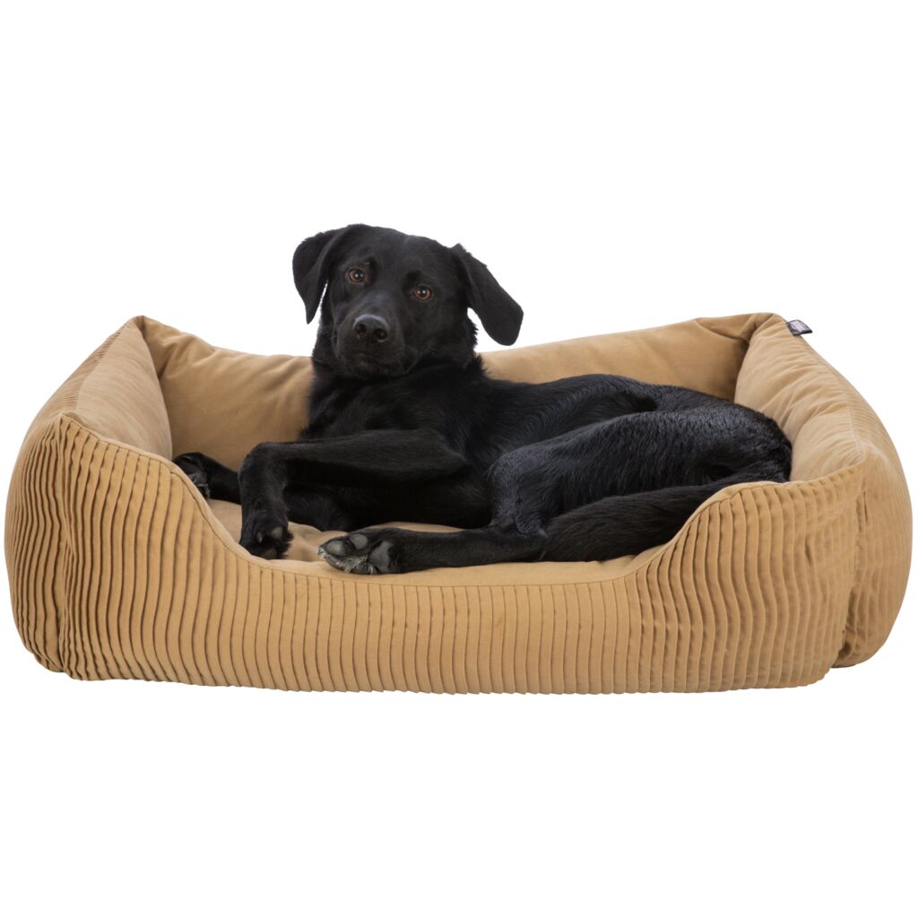 Bett Marley-Pfoten Feinstes