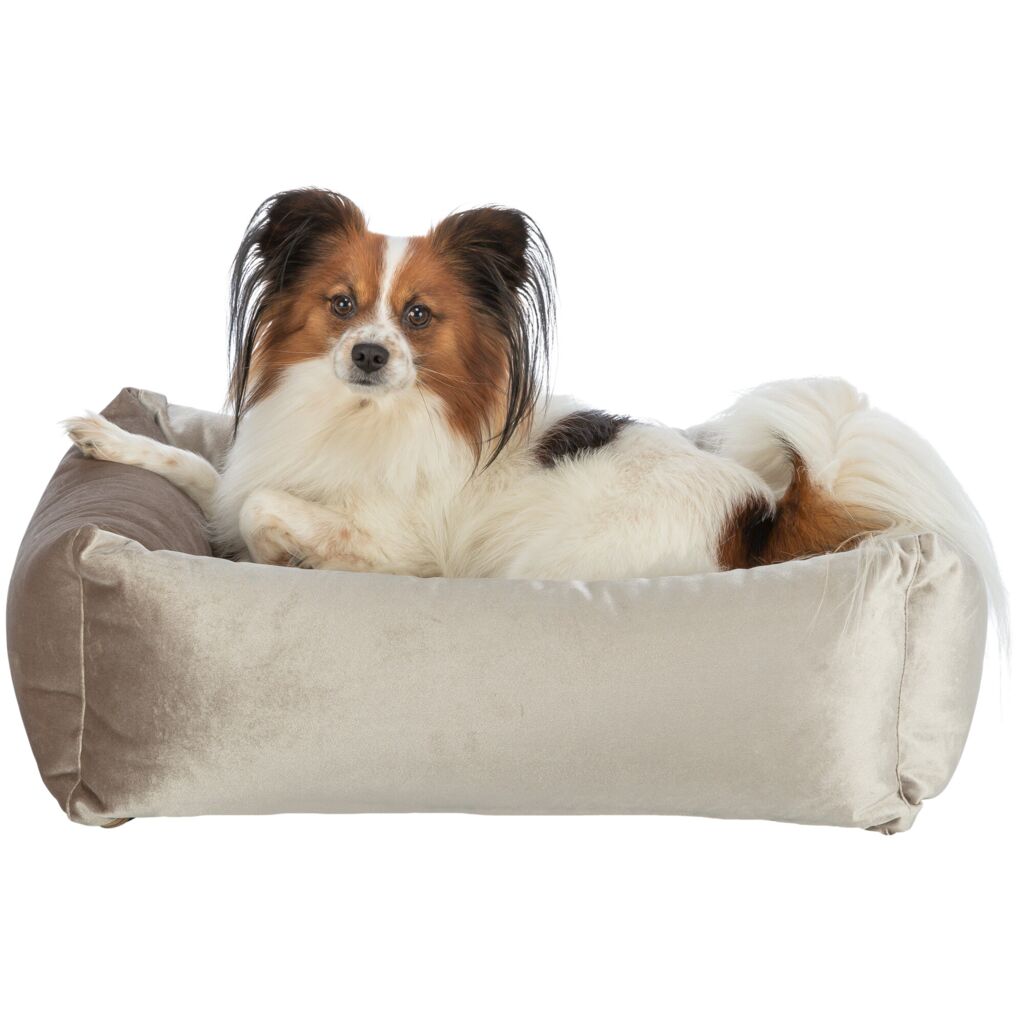 Bett Malia-Pfoten Feinstes