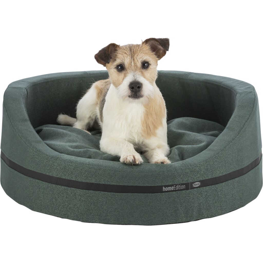 Bett CityStyle-Pfoten Feinstes