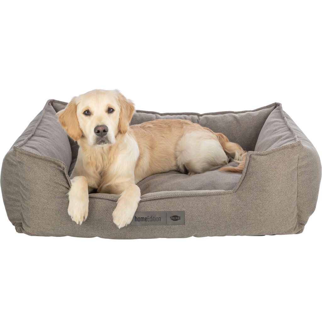 Bett Gano-Pfoten Feinstes