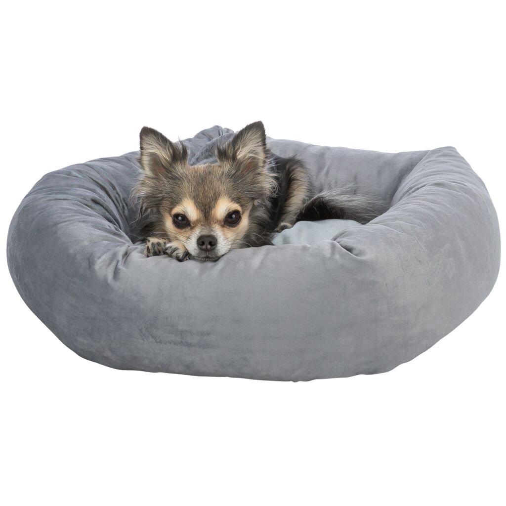 Bett Lionel-Pfoten Feinstes