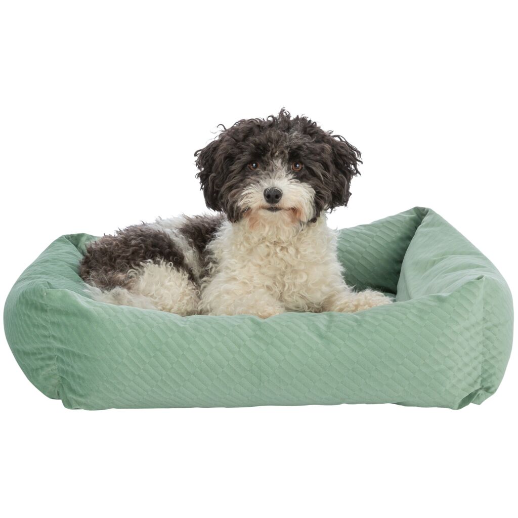 Bett Alena-Pfoten Feinstes