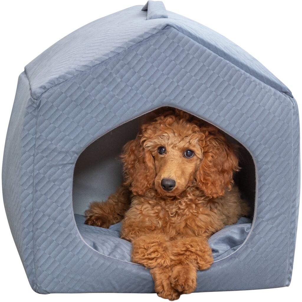 Höhle Alena-Pfoten Feinstes