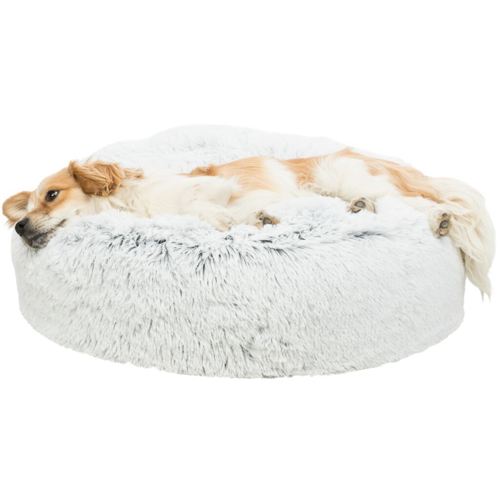 Kissen Harvey-Pfoten Feinstes