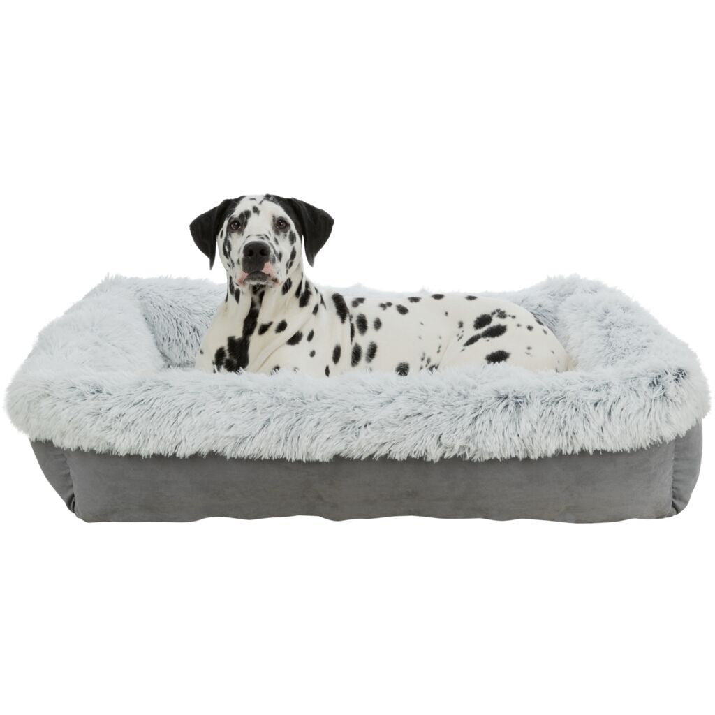 Bett Harvey-Pfoten Feinstes