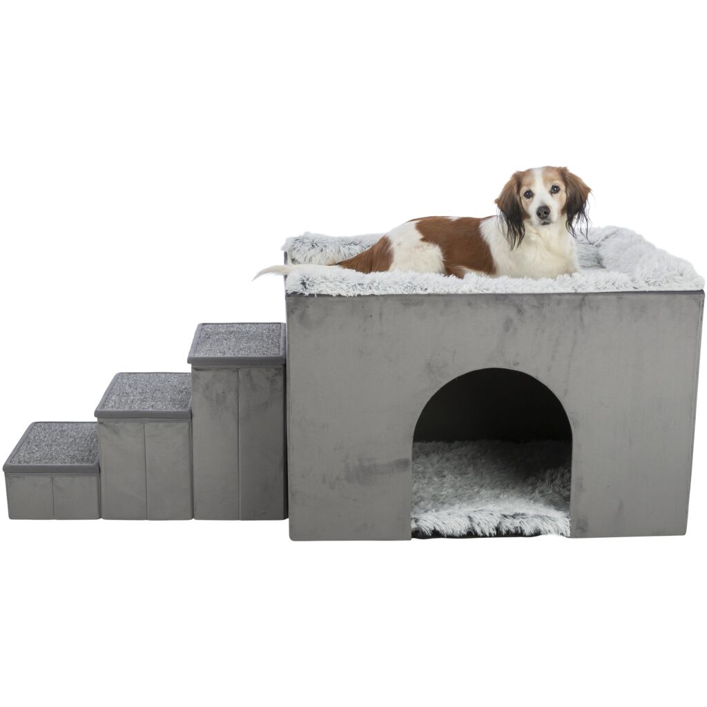 Höhle Harvey mit Treppe-Pfoten Feinstes