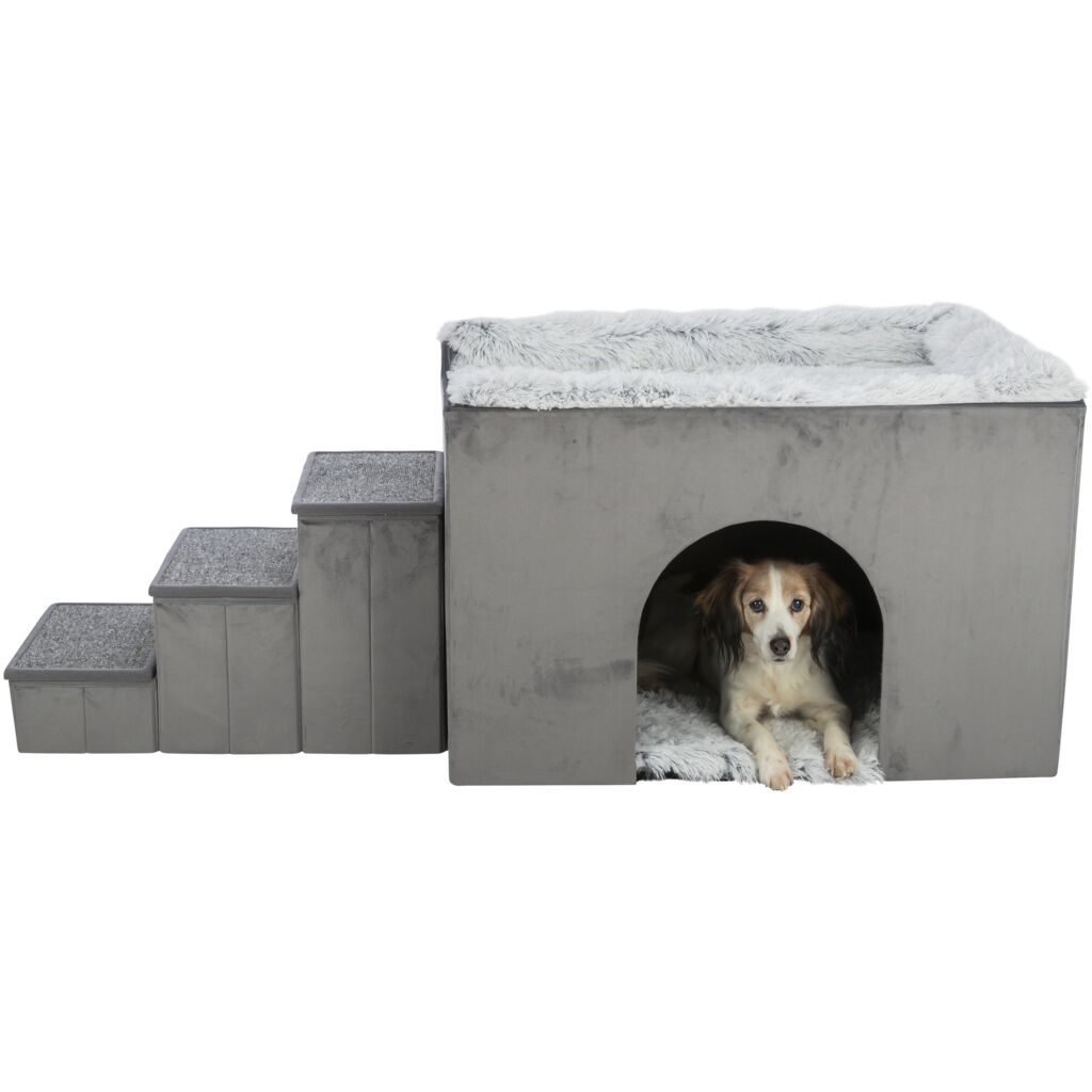 Höhle Harvey mit Treppe-Pfoten Feinstes