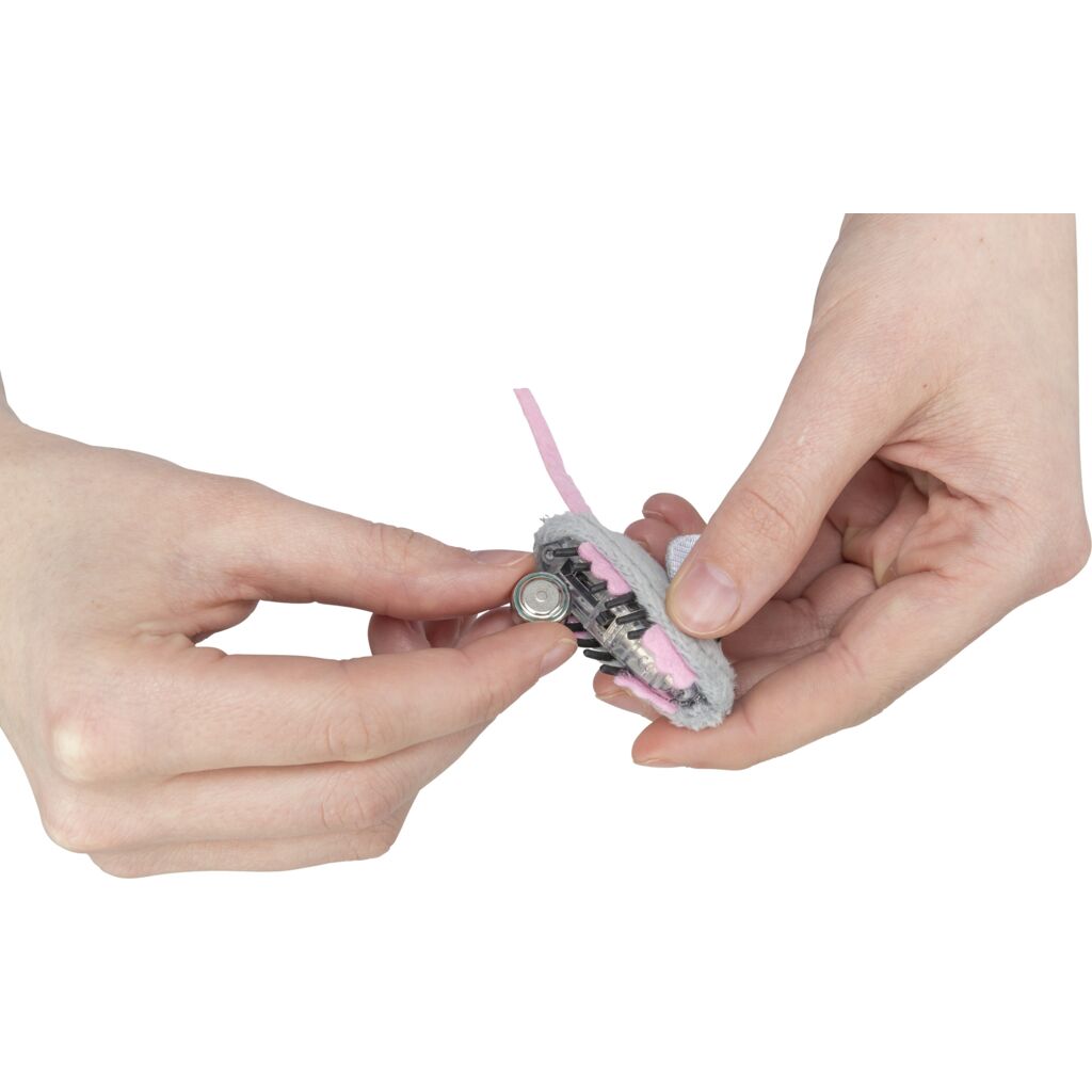 Rennmaus-Pfoten Feinstes