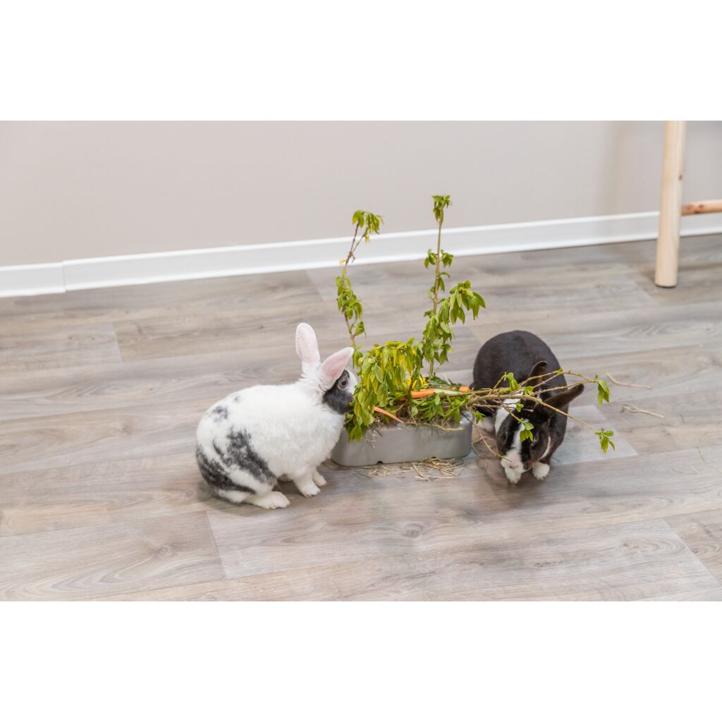 Futterraufe-Pfoten Feinstes