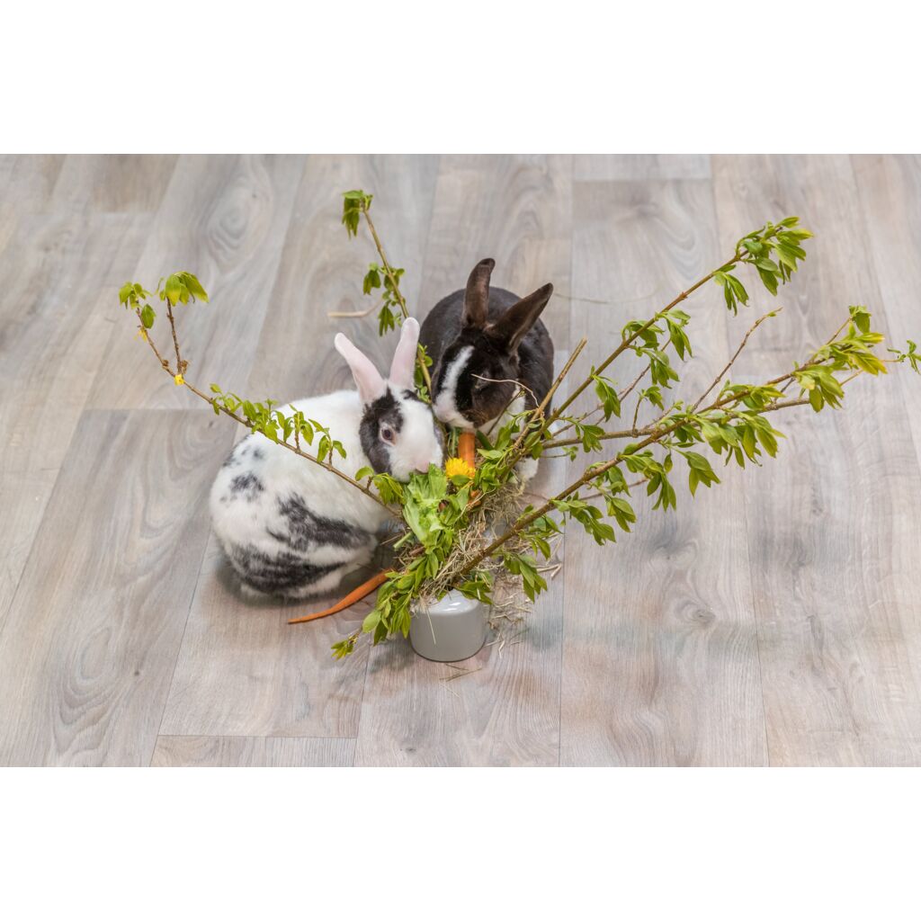 Futterraufe-Pfoten Feinstes