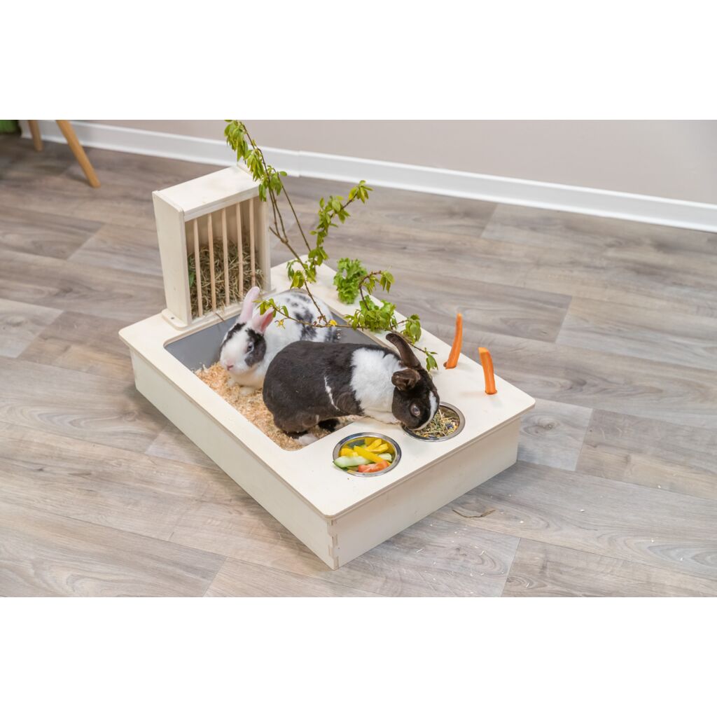 Futterstation-Pfoten Feinstes