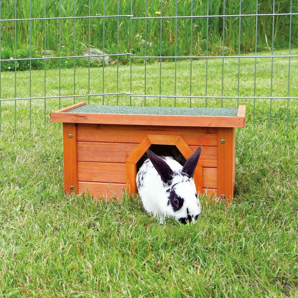 Kleintierhaus-Pfoten Feinstes