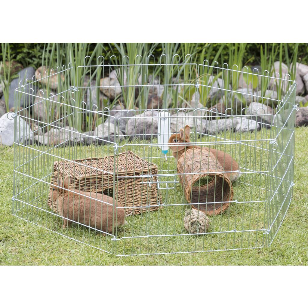 Freilaufgehege-Pfoten Feinstes