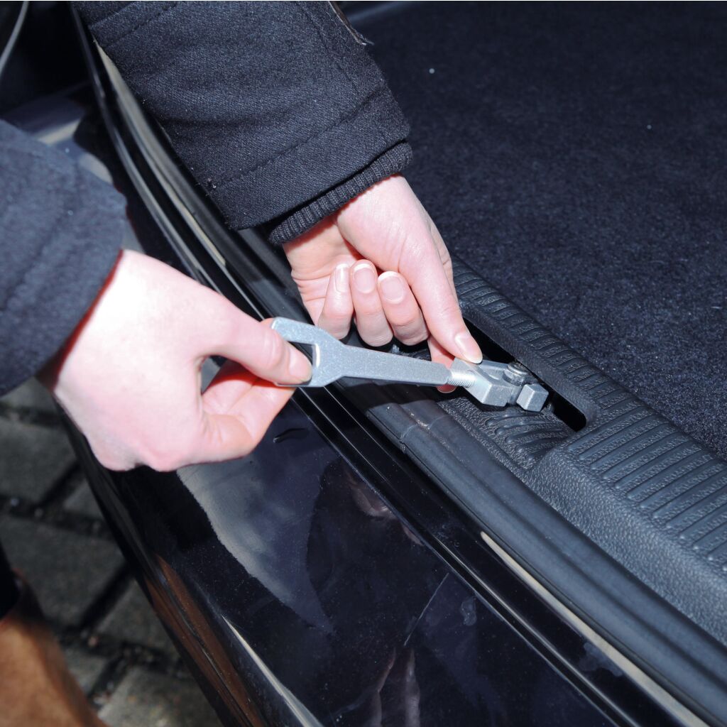 Car Cooler-Pfoten Feinstes