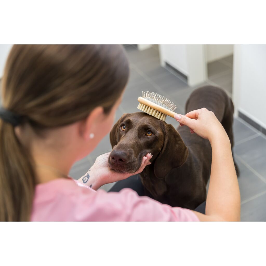 Bürste, beidseitig-Pfoten Feinstes