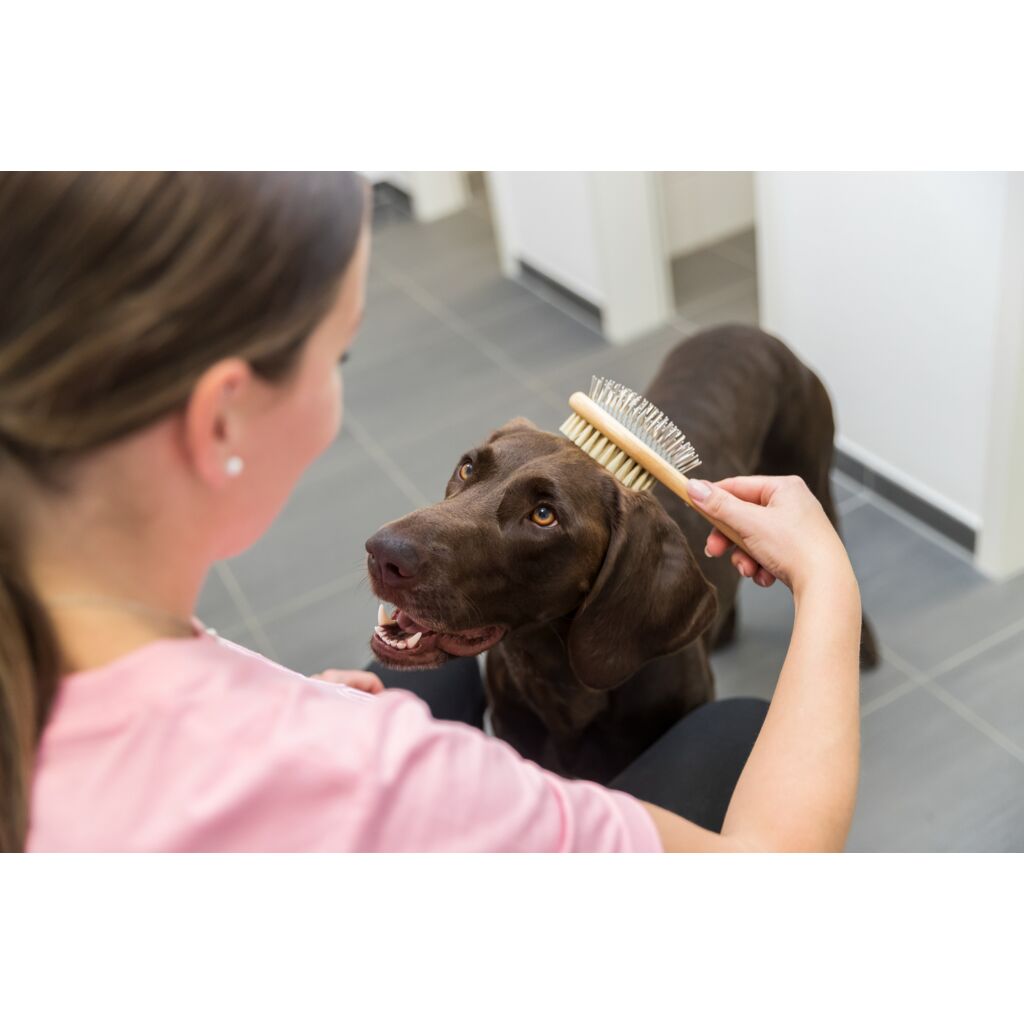 Bürste, beidseitig-Pfoten Feinstes