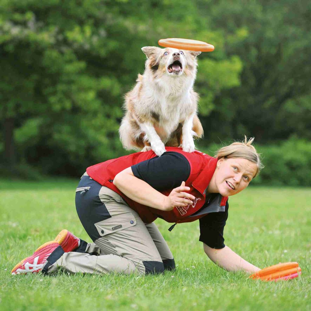 Dog Disc, Kunststoff-Pfoten Feinstes