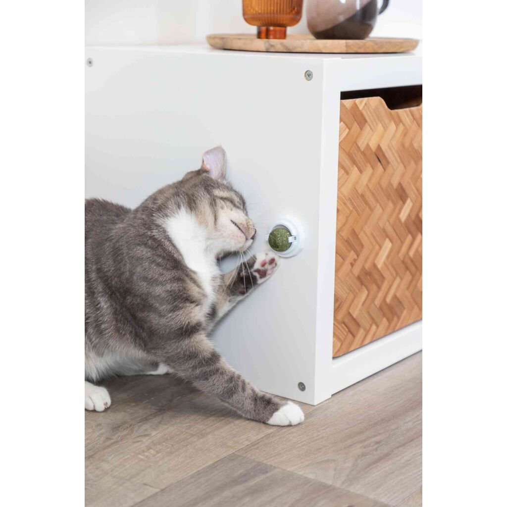 Katzenminze Ball mit Halterung-Pfoten Feinstes