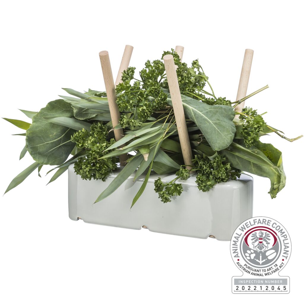 Futterraufe-Pfoten Feinstes